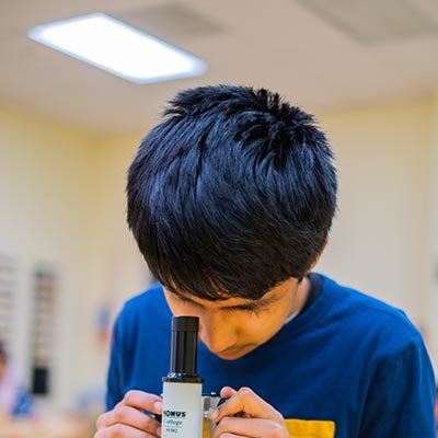 Exploring using a microscope Photo